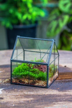 Handmade Glass And Tin Close Mini House Shape Close Terrarium For Moss, Succulents, Drosera -Terrarium Plant Hub 20190621011 18