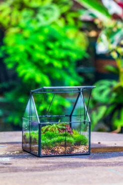 Handmade Glass And Tin Close Mini House Shape Close Terrarium For Moss, Succulents, Drosera -Terrarium Plant Hub 20190621011 21