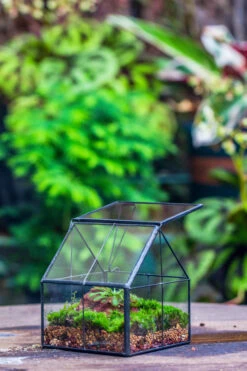 Handmade Glass And Tin Close Mini House Shape Close Terrarium For Moss, Succulents, Drosera -Terrarium Plant Hub 20190621011 24