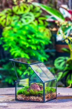 Handmade Glass And Tin Close Mini House Shape Close Terrarium For Moss, Succulents, Drosera -Terrarium Plant Hub 20190621011 27
