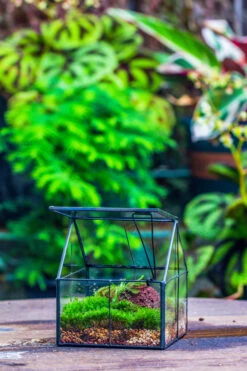 Handmade Glass And Tin Close Mini House Shape Close Terrarium For Moss, Succulents, Drosera -Terrarium Plant Hub 20190621011 30