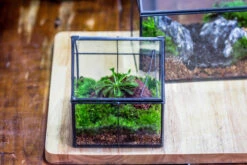 Handmade Glass And Tin Close Mini House Shape Close Terrarium For Moss, Succulents, Drosera -Terrarium Plant Hub 20190621011 38