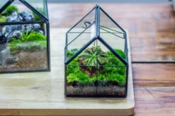 Handmade Glass And Tin Close Mini House Shape Close Terrarium For Moss, Succulents, Drosera -Terrarium Plant Hub 20190621011 39