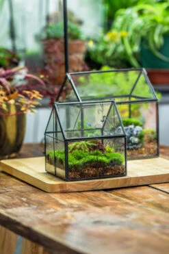 Handmade Glass And Tin Close Mini House Shape Close Terrarium For Moss, Succulents, Drosera -Terrarium Plant Hub 20190621011 42