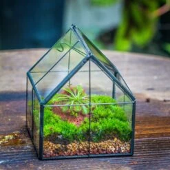 Handmade Glass And Tin Close Mini House Shape Close Terrarium For Moss, Succulents, Drosera -Terrarium Plant Hub 20190621011 7