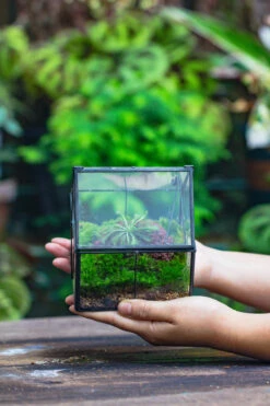 Handmade Glass And Tin Close Mini House Shape Close Terrarium For Moss, Succulents, Drosera -Terrarium Plant Hub 20190621011 9