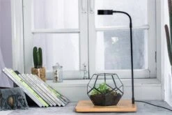 NCYP Tabletop Natural Wood Board LED Succulents Grow Light Display Indoor 2prong 7W For Geometric Glass Terrarium Succulent Fern Bonsai -Terrarium Plant Hub 20190806001 1
