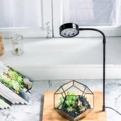 NCYP Tabletop Board USB LED Succulents Grow Light Display Indoor Terrarium For Succulents Moss 27 NCYP Tabletop Board USB LED Succulents Grow Light Display Indoor Terrarium For Succulents Moss -Terrarium Plant Hub 20190806001 4