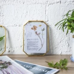 Wall Hanging Long Octagon Herbarium Brass Glass Frame For Pressed Flowers Dried Floating Frame 33 Wall Hanging Long Octagon Herbarium Brass Glass Frame For Pressed Flowers Dried Floating Frame -Terrarium Plant Hub 20190905002 1