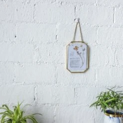 Wall Hanging Long Octagon Herbarium Brass Glass Frame For Pressed Flowers Dried Floating Frame 34 Wall Hanging Long Octagon Herbarium Brass Glass Frame For Pressed Flowers Dried Floating Frame -Terrarium Plant Hub 20190905002 4