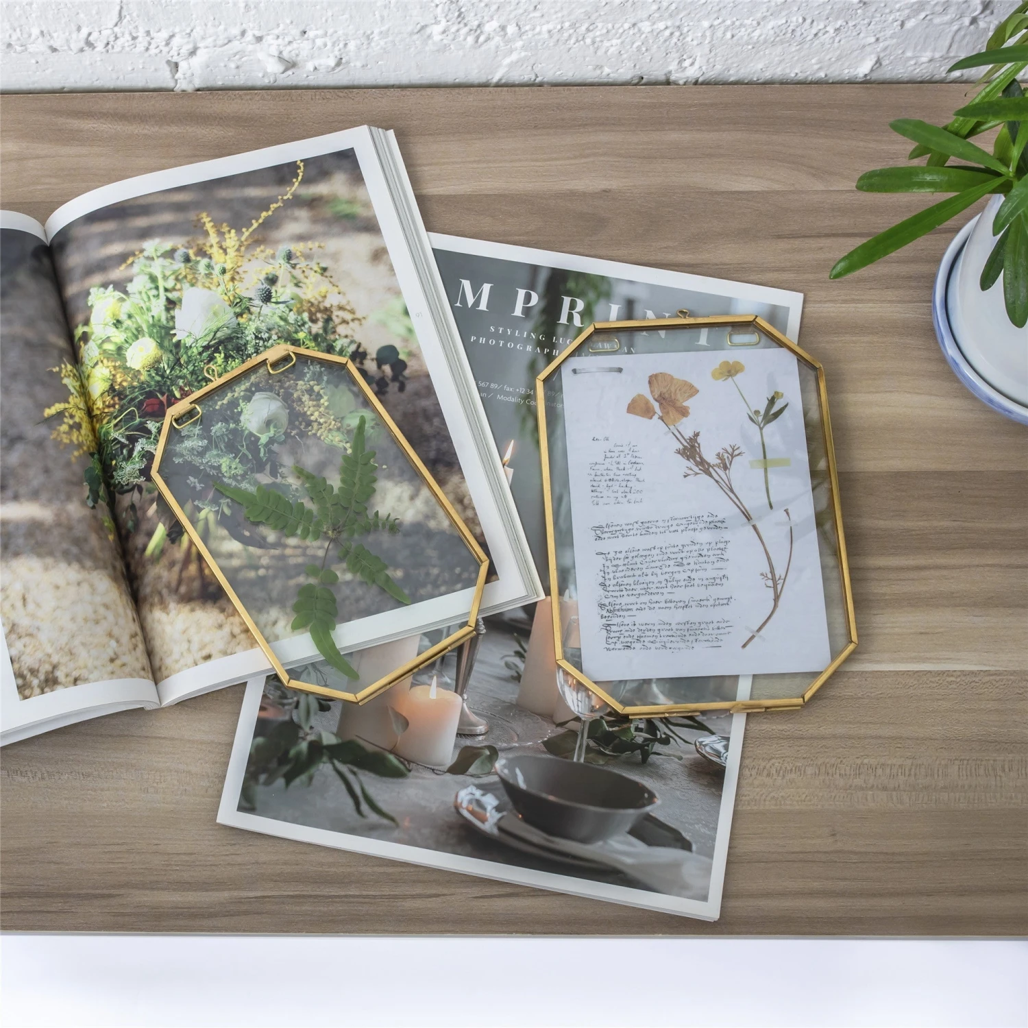 Wall Hanging Long Octagon Herbarium Brass Glass Frame For Pressed Flowers Dried Floating Frame 17 Wall Hanging Long Octagon Herbarium Brass Glass Frame For Pressed Flowers Dried Floating Frame - Image 15