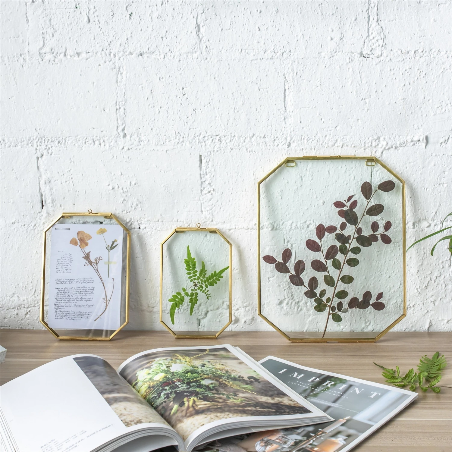 Wall Hanging Long Octagon Herbarium Brass Glass Frame For Pressed Flowers Dried Floating Frame 10 Wall Hanging Long Octagon Herbarium Brass Glass Frame For Pressed Flowers Dried Floating Frame - Image 8