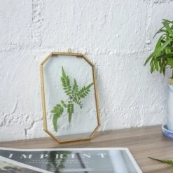 Wall Hanging Long Octagon Herbarium Brass Glass Frame For Pressed Flowers Dried Floating Frame 30 Wall Hanging Long Octagon Herbarium Brass Glass Frame For Pressed Flowers Dried Floating Frame -Terrarium Plant Hub 20190905003 6