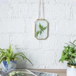 Wall Hanging Long Octagon Herbarium Brass Glass Frame For Pressed Flowers Dried Floating Frame 31 Wall Hanging Long Octagon Herbarium Brass Glass Frame For Pressed Flowers Dried Floating Frame -Terrarium Plant Hub 20190905003 7