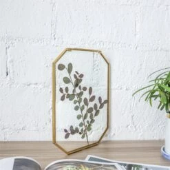 Wall Hanging Long Octagon Herbarium Brass Glass Frame For Pressed Flowers Dried Floating Frame 36 Wall Hanging Long Octagon Herbarium Brass Glass Frame For Pressed Flowers Dried Floating Frame -Terrarium Plant Hub 20190905004 1
