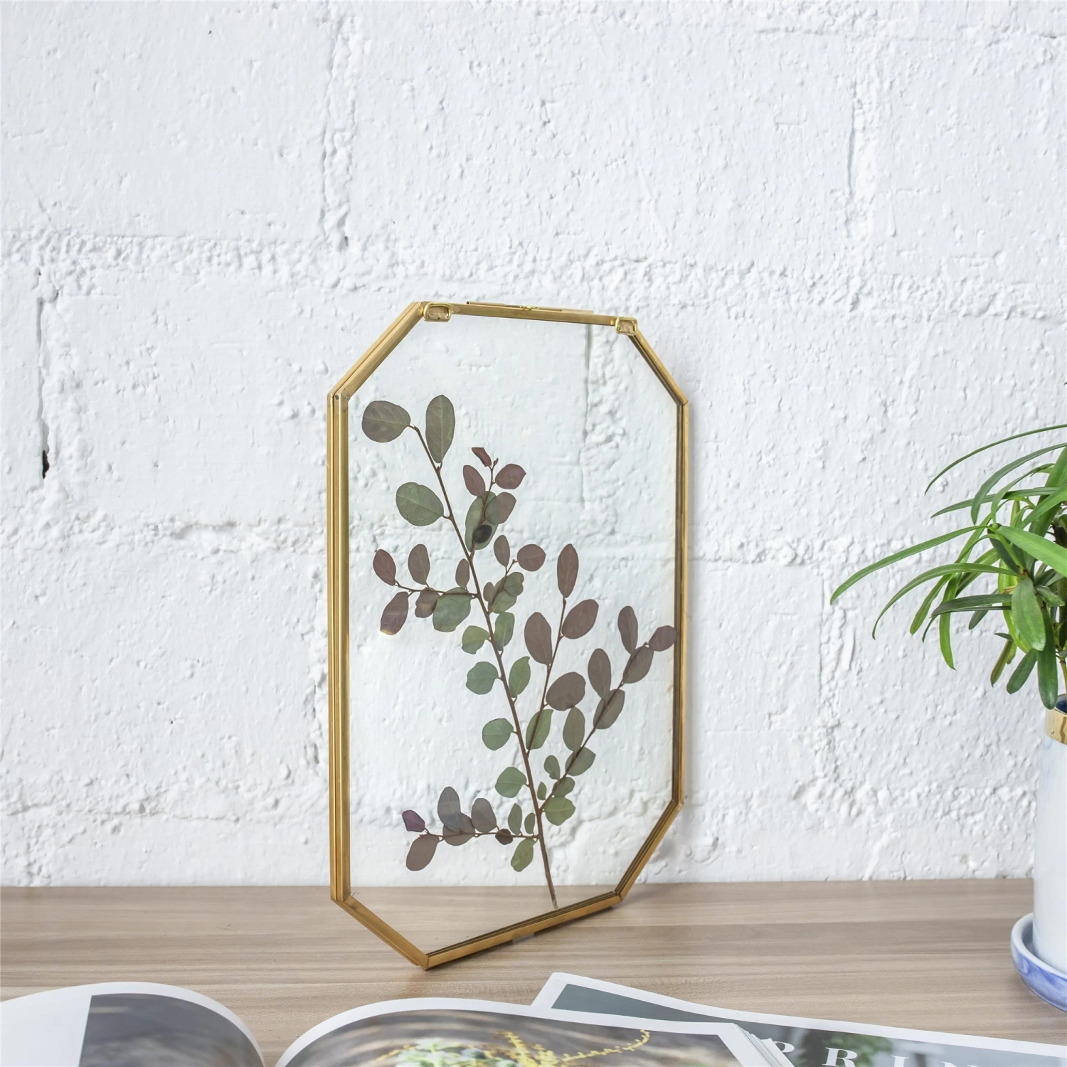 Wall Hanging Long Octagon Herbarium Brass Glass Frame For Pressed Flowers Dried Floating Frame 18 Wall Hanging Long Octagon Herbarium Brass Glass Frame For Pressed Flowers Dried Floating Frame - Image 16