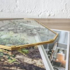 Wall Hanging Long Octagon Herbarium Brass Glass Frame For Pressed Flowers Dried Floating Frame 24 Wall Hanging Long Octagon Herbarium Brass Glass Frame For Pressed Flowers Dried Floating Frame -Terrarium Plant Hub 20190905004 2