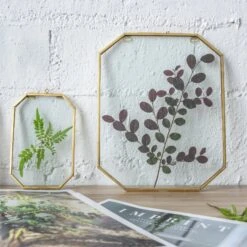 Wall Hanging Long Octagon Herbarium Brass Glass Frame For Pressed Flowers Dried Floating Frame 29 Wall Hanging Long Octagon Herbarium Brass Glass Frame For Pressed Flowers Dried Floating Frame -Terrarium Plant Hub 20190905004 5