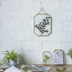 Wall Hanging Long Octagon Herbarium Brass Glass Frame For Pressed Flowers Dried Floating Frame 37 Wall Hanging Long Octagon Herbarium Brass Glass Frame For Pressed Flowers Dried Floating Frame -Terrarium Plant Hub 20190905004 6