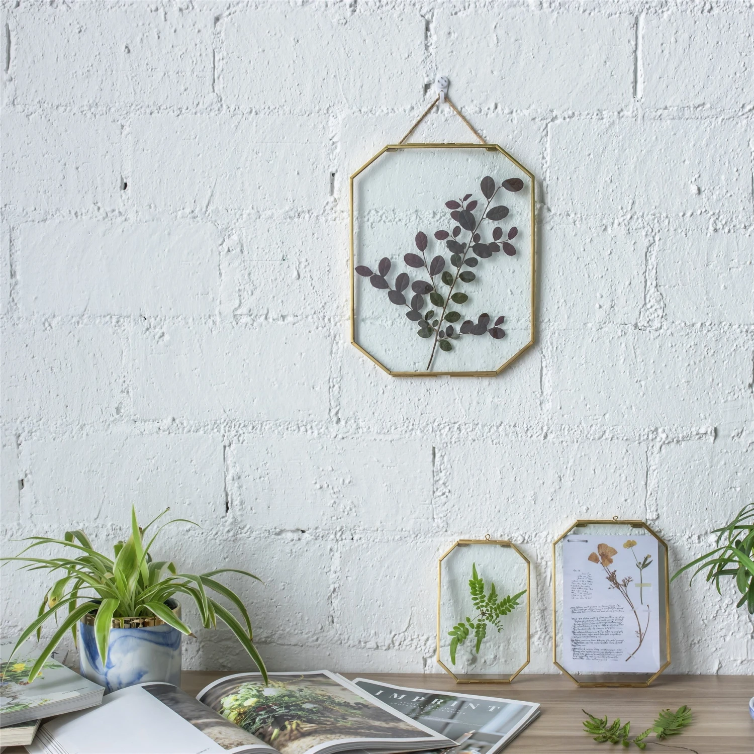 Wall Hanging Long Octagon Herbarium Brass Glass Frame For Pressed Flowers Dried Floating Frame 19 Wall Hanging Long Octagon Herbarium Brass Glass Frame For Pressed Flowers Dried Floating Frame - Image 17