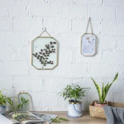 Wall Hanging Long Octagon Herbarium Brass Glass Frame For Pressed Flowers Dried Floating Frame 38 Wall Hanging Long Octagon Herbarium Brass Glass Frame For Pressed Flowers Dried Floating Frame -Terrarium Plant Hub 20190905004 8