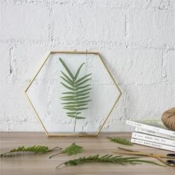 Hanging Hexagon Herbarium Brass Glass Frame For Pressed Flowers Dried Flowers Floating Frame -Terrarium Plant Hub 20190905006 1
