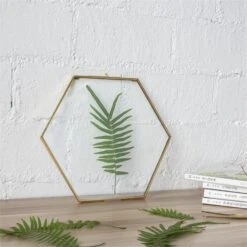 Hanging Hexagon Herbarium Brass Glass Frame For Pressed Flowers Dried Flowers Floating Frame -Terrarium Plant Hub 20190905006 2
