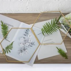 Hanging Hexagon Herbarium Brass Glass Frame For Pressed Flowers Dried Flowers Floating Frame -Terrarium Plant Hub 20190905006 4