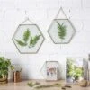 Hanging Hexagon Herbarium Brass Glass Frame For Pressed Flowers Dried Flowers Floating Frame -Terrarium Plant Hub 20190905007 3
