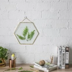 Hanging Hexagon Herbarium Brass Glass Frame For Pressed Flowers Dried Flowers Floating Frame -Terrarium Plant Hub 20190905007 5