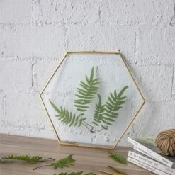 Hanging Hexagon Herbarium Brass Glass Frame For Pressed Flowers Dried Flowers Floating Frame -Terrarium Plant Hub 20190905007 7