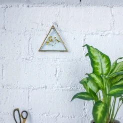 Hanging Triangle Herbarium Brass Glass Frame For Pressed Flowers Dried Flowers Poster -Terrarium Plant Hub 20190905008 11 bb7e4c99 bd61 49da a9f4 9670d4dd1b4e