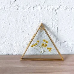 Hanging Triangle Herbarium Brass Glass Frame For Pressed Flowers Dried Flowers Poster -Terrarium Plant Hub 20190905008 1 5fdf31d0 4679 408e 9e91 2b25d3a3d268