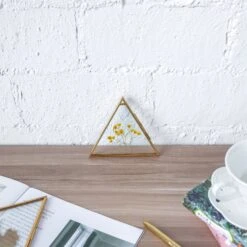 Hanging Triangle Herbarium Brass Glass Frame For Pressed Flowers Dried Flowers Poster -Terrarium Plant Hub 20190905008 8 b65c27a7 2753 4eb9 ba9f d5c858f789a3