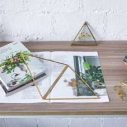 Hanging Triangle Herbarium Brass Glass Frame For Pressed Flowers Dried Flowers Poster -Terrarium Plant Hub 20190905009 2