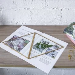 Hanging Triangle Herbarium Brass Glass Frame For Pressed Flowers Dried Flowers Poster -Terrarium Plant Hub 20190905010 2 36573637 aaf3 4dad ade0 0d45665a2d23