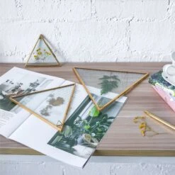 Hanging Triangle Herbarium Brass Glass Frame For Pressed Flowers Dried Flowers Poster -Terrarium Plant Hub 20190905010 4 3b7e1fbf fae6 45cc 96dc 90d8bc36f9ae