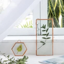 Hanging Small Pink Hexagon Herbarium Copper Glass Frame For Pressed Flowers Dried Flowers -Terrarium Plant Hub 20190905011 3 b6919f49 bcc3 40f2 93c8 bb3deb6edcdf