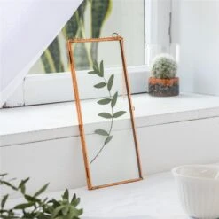 NCYP 4x9 Inchs Clear Glass Picture Frame Wall Hanging Certificate Photo Plant Specimen Clip -Terrarium Plant Hub 20190905011 4 4e24ad13 08ee 479d 8397 321d5ecd7fd8