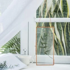 NCYP 4x9 Inchs Clear Glass Picture Frame Wall Hanging Certificate Photo Plant Specimen Clip -Terrarium Plant Hub 20190905011 5 7763d68b 7cd0 442e bf5e 615d79e5c65a