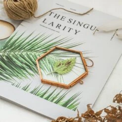 Hanging Small Pink Hexagon Herbarium Copper Glass Frame For Pressed Flowers Dried Flowers -Terrarium Plant Hub 20190905012 3