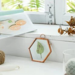 Hanging Small Pink Hexagon Herbarium Copper Glass Frame For Pressed Flowers Dried Flowers -Terrarium Plant Hub 20190905012 5