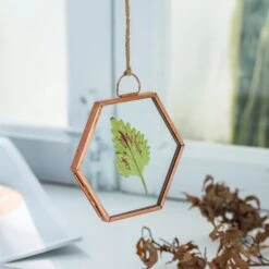Hanging Small Pink Hexagon Herbarium Copper Glass Frame For Pressed Flowers Dried Flowers -Terrarium Plant Hub 20190905012 6