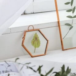 Hanging Small Pink Hexagon Herbarium Copper Glass Frame For Pressed Flowers Dried Flowers -Terrarium Plant Hub 20190905012 8