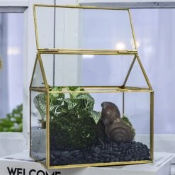 Handmade NCYP Geometric Glass Gold Terrarium Box House Shape, Close, Tabletop, Swing Lid For Air Plants Moss Snail Reptile Habitat -Terrarium Plant Hub 20190923001 1
