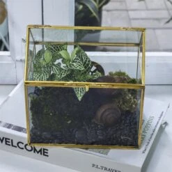 Handmade NCYP Geometric Glass Gold Terrarium Box House Shape, Close, Tabletop, Swing Lid For Air Plants Moss Snail Reptile Habitat -Terrarium Plant Hub 20190923001 3