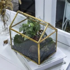 Handmade NCYP Geometric Glass Gold Terrarium Box House Shape, Close, Tabletop, Swing Lid For Air Plants Moss Snail Reptile Habitat -Terrarium Plant Hub 20190923001 4