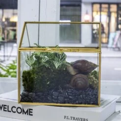 Handmade NCYP Geometric Glass Gold Terrarium Box House Shape, Close, Tabletop, Swing Lid For Air Plants Moss Snail Reptile Habitat