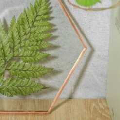 Hanging Hexagon Herbarium Copper Glass Frame For Pressed Flowers Dried Flowers Floating Frame 14 Hanging Hexagon Herbarium Copper Glass Frame For Pressed Flowers Dried Flowers Floating Frame -Terrarium Plant Hub 20200409015 2