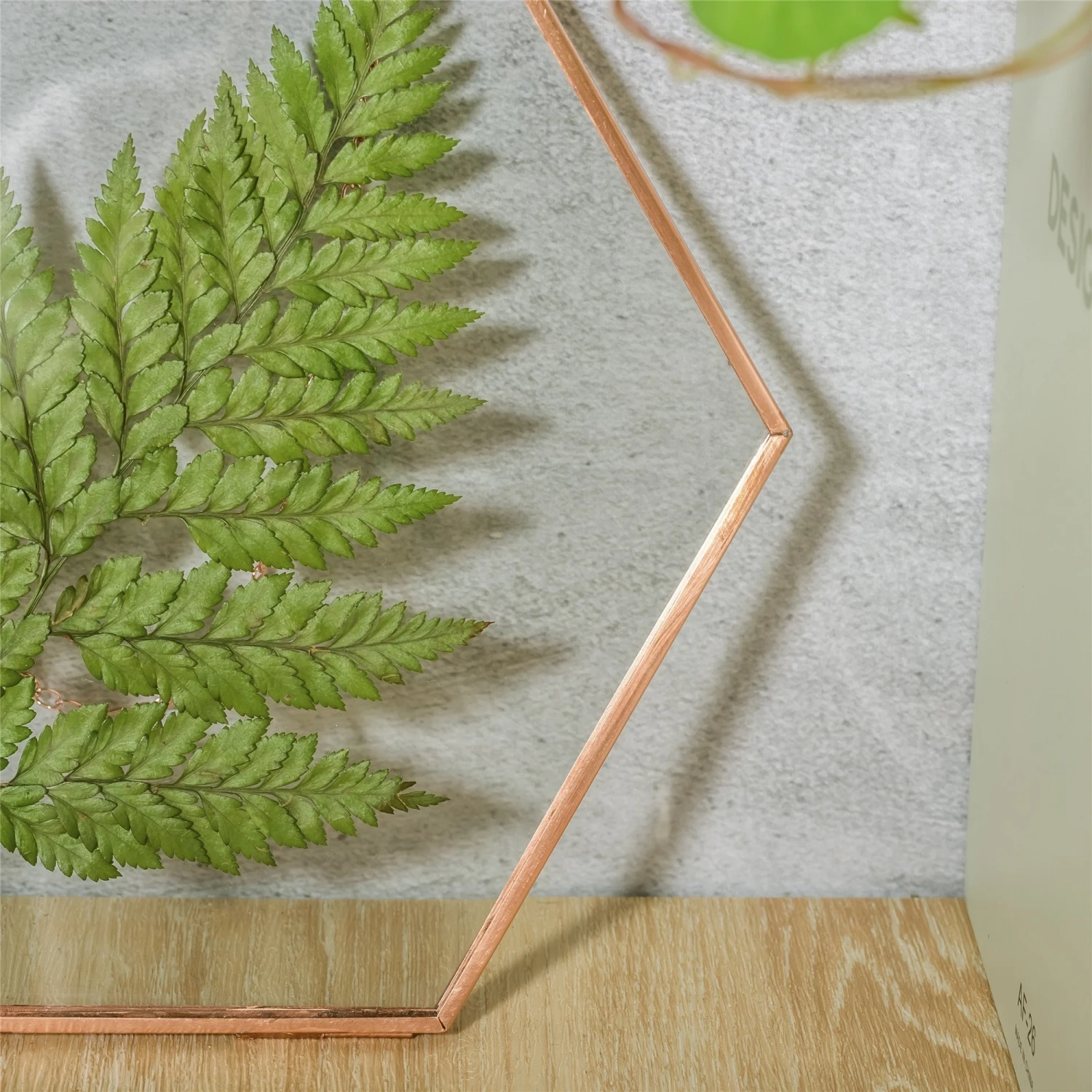 Hanging Hexagon Herbarium Copper Glass Frame For Pressed Flowers Dried Flowers Floating Frame 5 Hanging Hexagon Herbarium Copper Glass Frame For Pressed Flowers Dried Flowers Floating Frame - Image 3